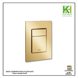 Show details for GROHE SKATE AIR FLUSH PLATE GOLD Picture of GROHE SKATE AIR FLUSH PLATE GOLD